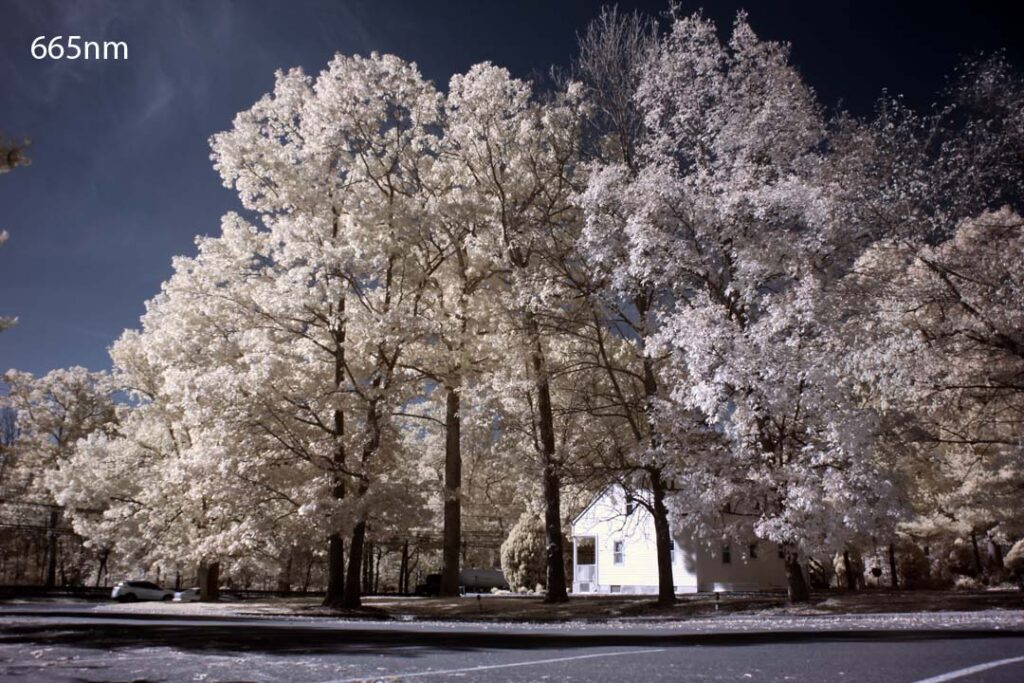 Canon DSLR and Mirrorless Infrared Conversion Service Kolari Vision