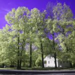 Thumbnail of Blue IR