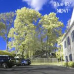Thumbnail of Blue IR