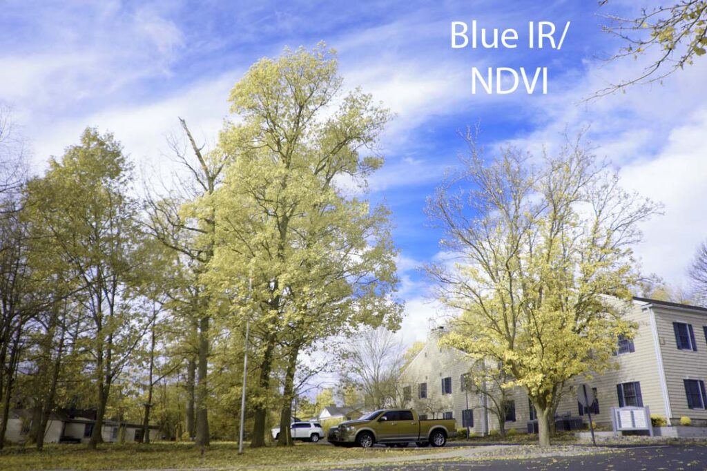 BlueNDVI