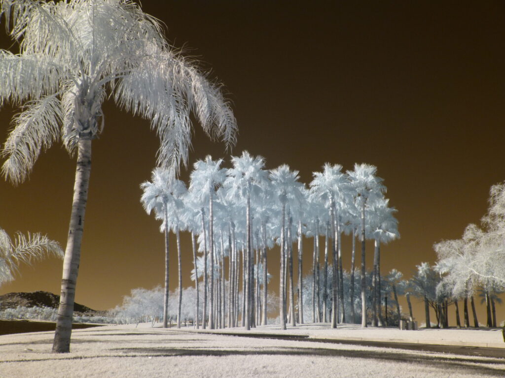 P1000316