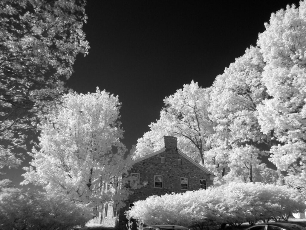 IMG 0001bw
