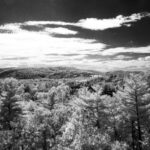 Thumbnail of ZS50 Gallery Shots (2)