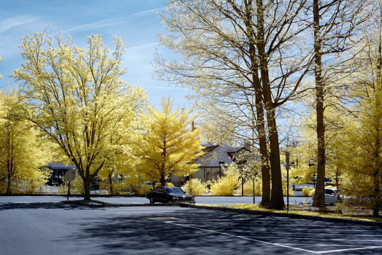 Sony infrared conversion