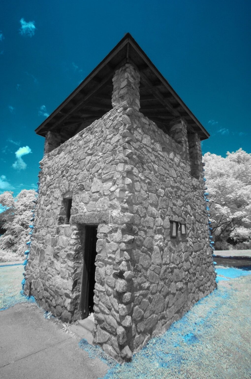 Nikon infrared conversion
