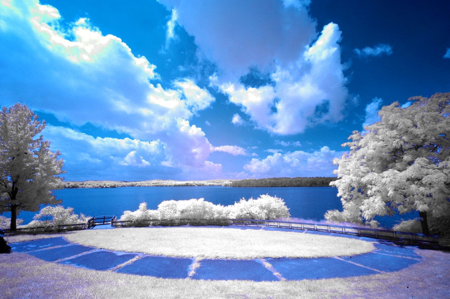 Nikon infrared conversion