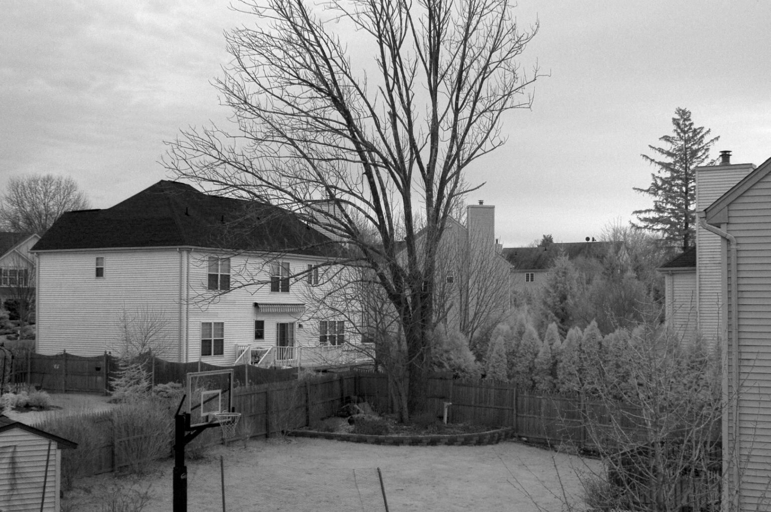 Nikon infrared conversion