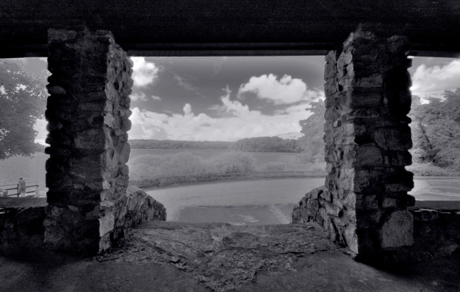 Nikon infrared conversion