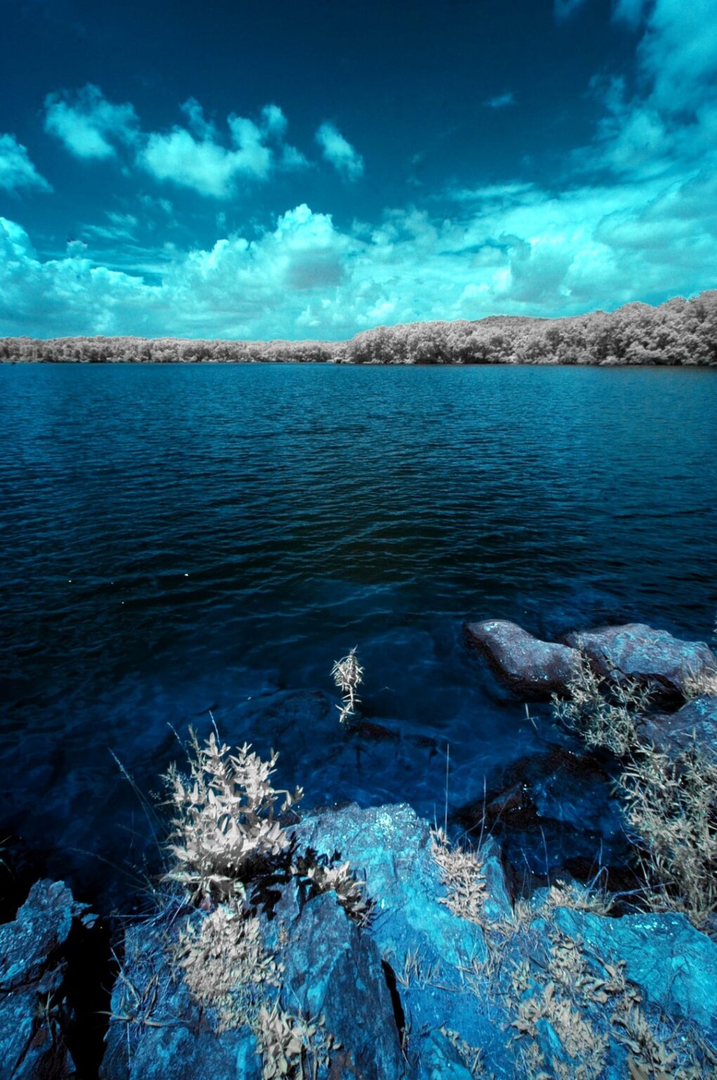 Nikon infrared conversion