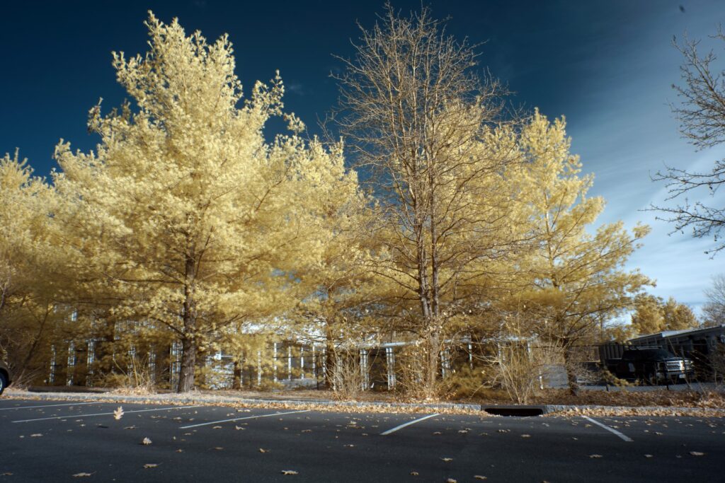 Sony infrared conversion