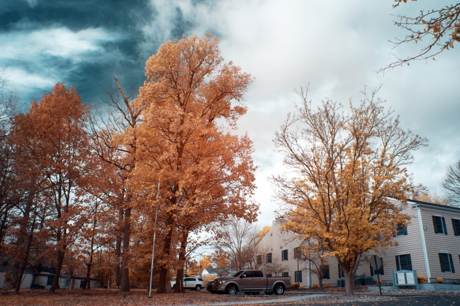 Sony infrared conversion