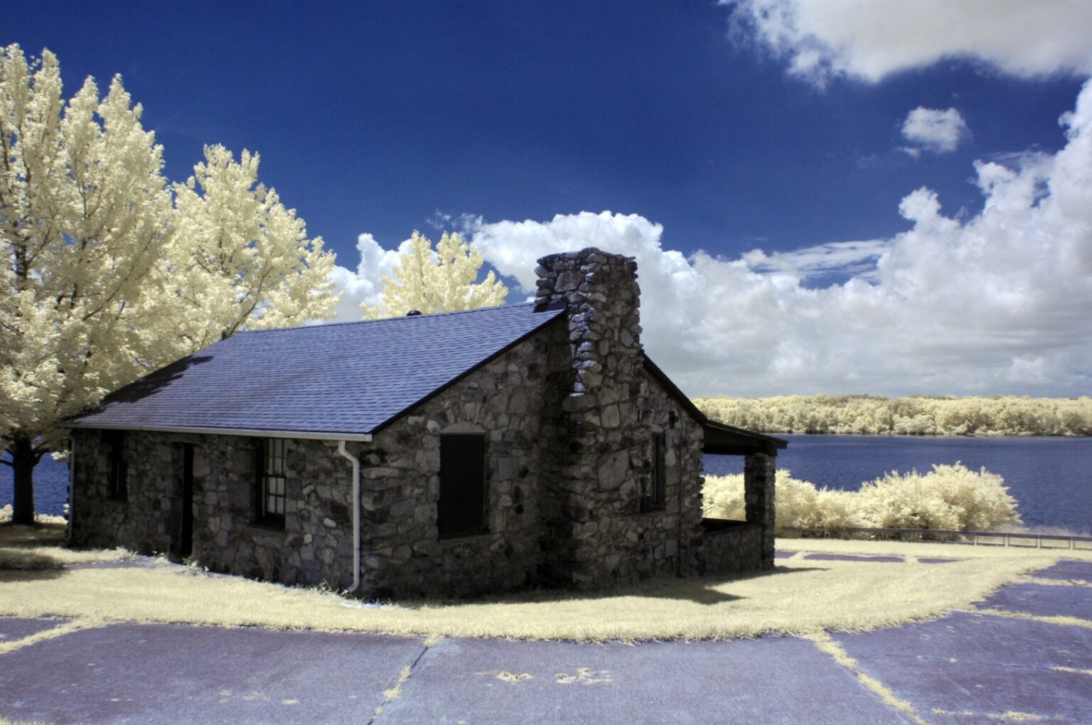 Nikon infrared conversion