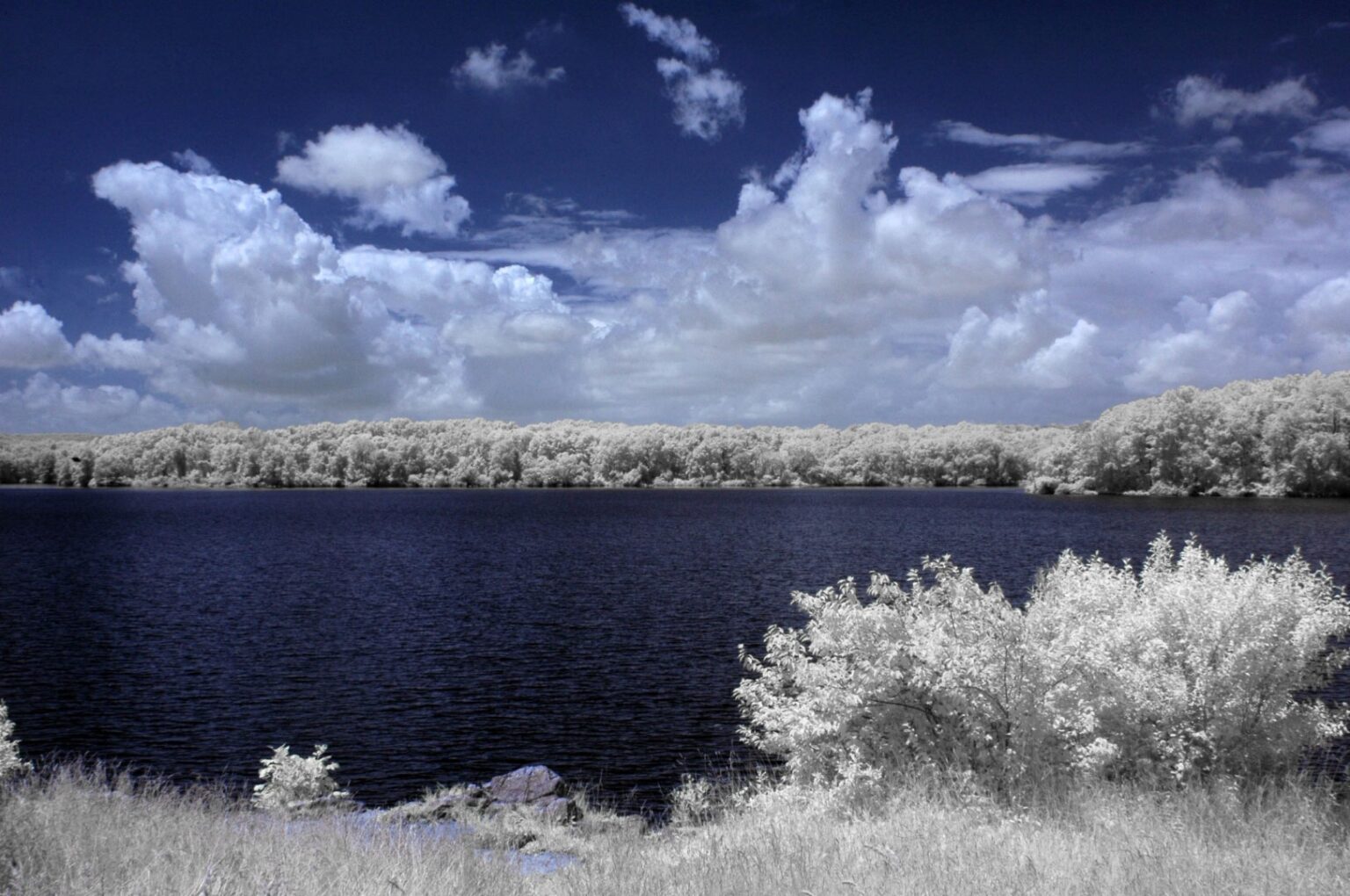 Nikon infrared conversion