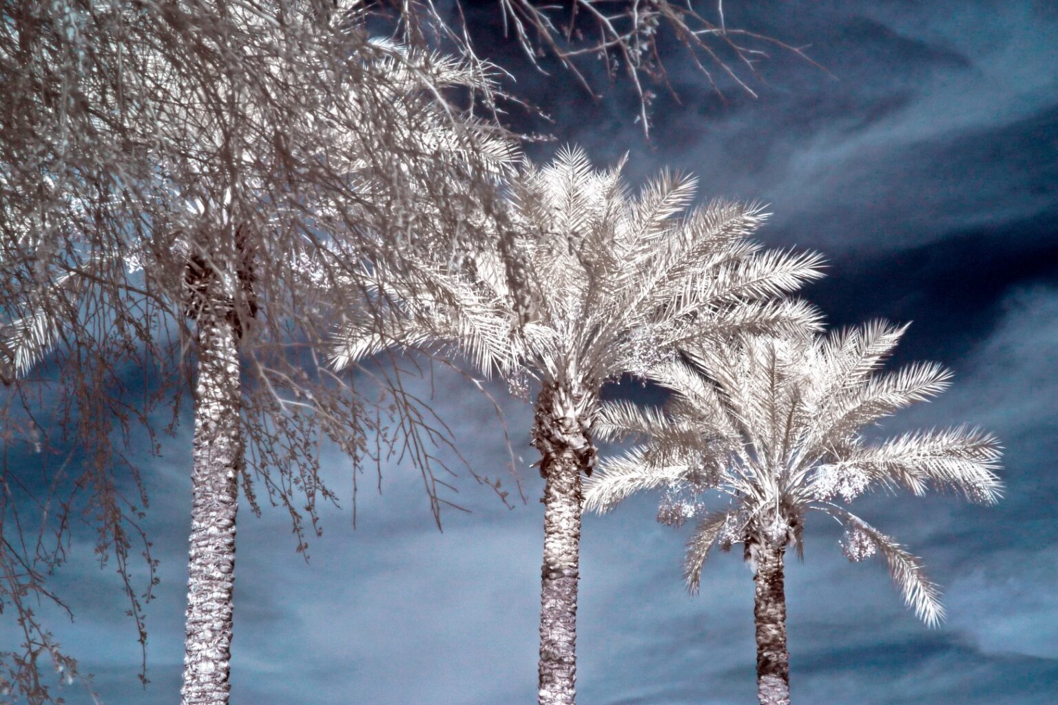 Panasonic infrared conversion