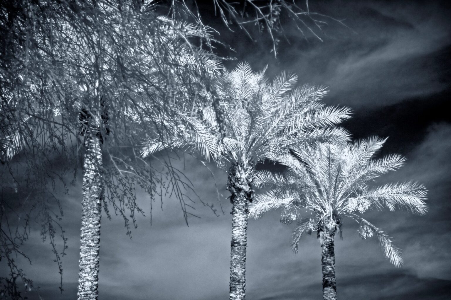 Panasonic infrared conversion