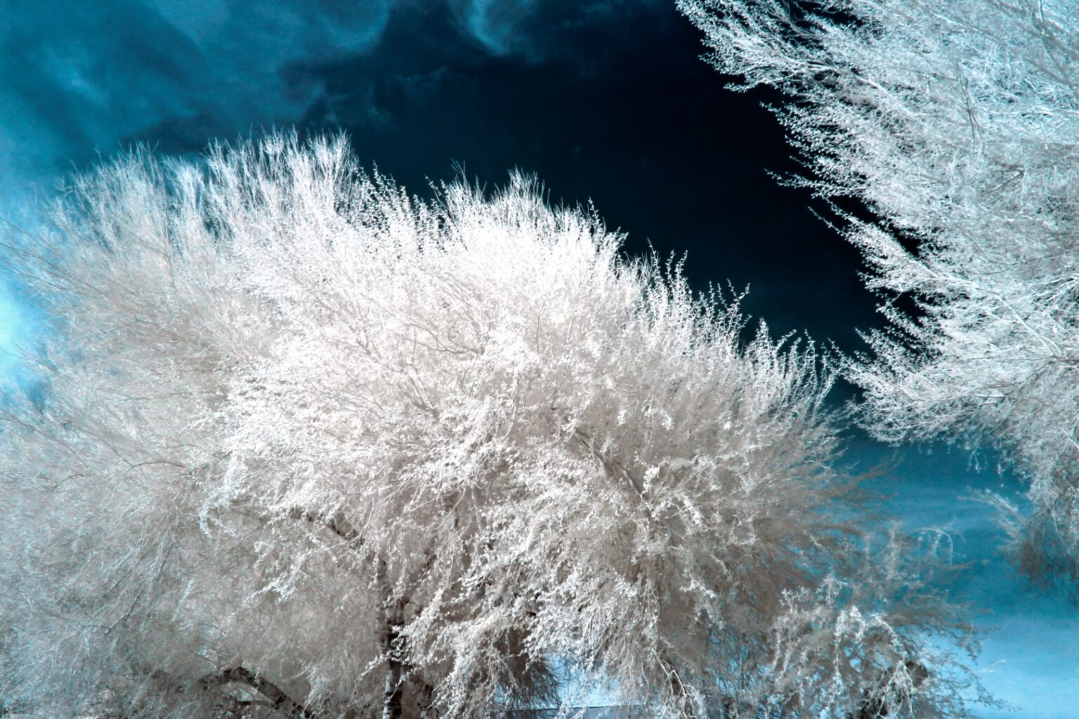 Panasonic infrared conversion