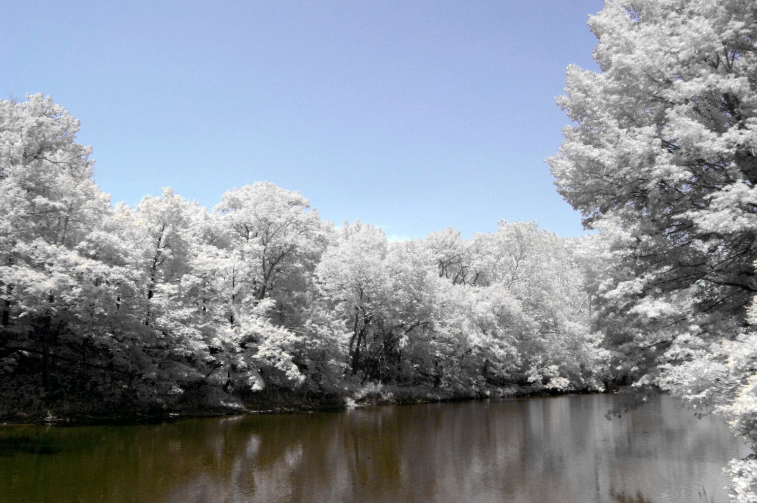 Nikon infrared conversion