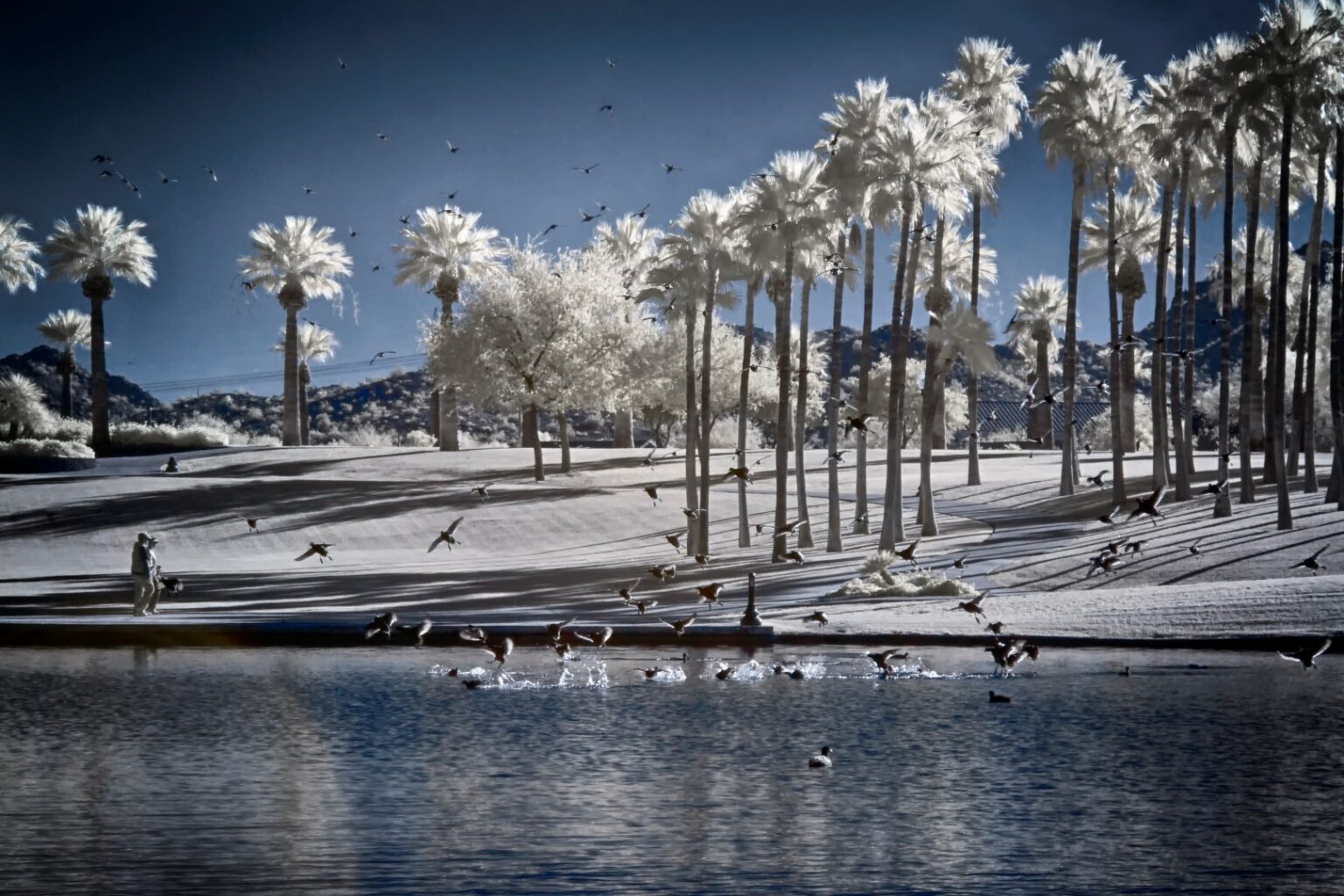 Panasonic infrared conversion