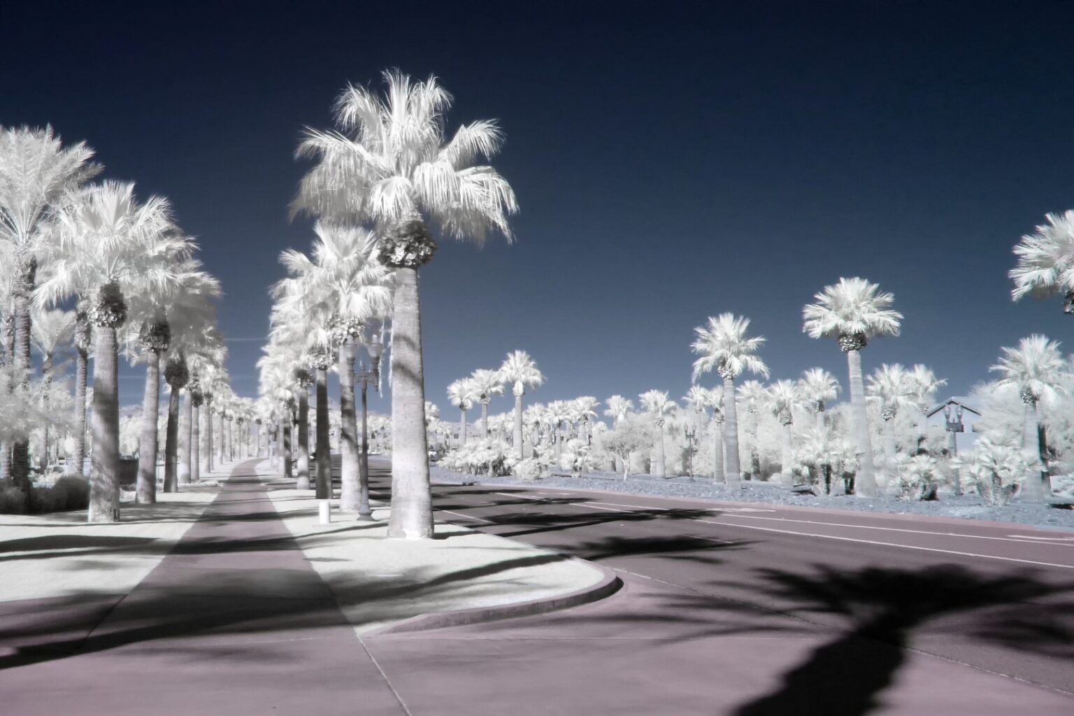 Panasonic infrared conversion