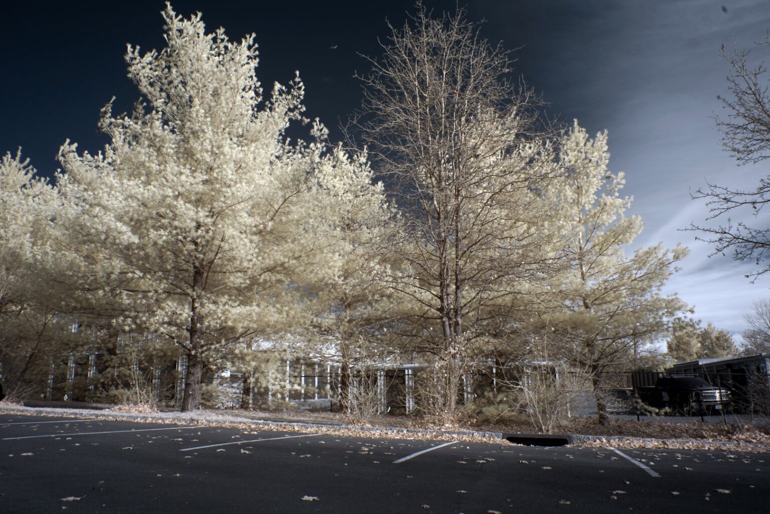 Sony infrared conversion