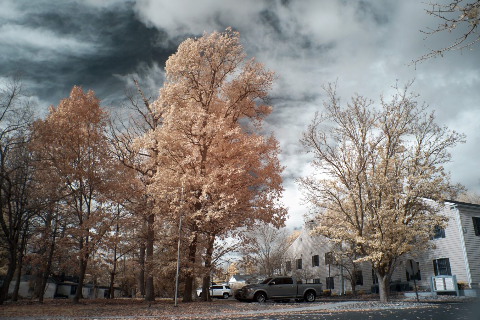 Sony infrared conversion