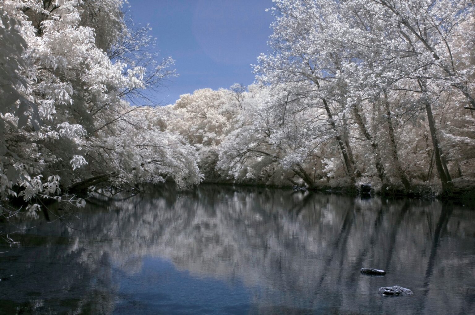 Nikon infrared conversion