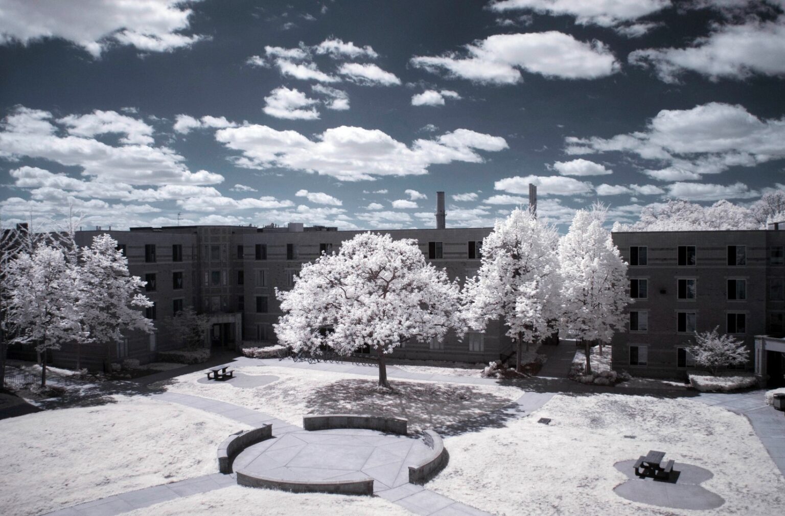 Nikon infrared conversion