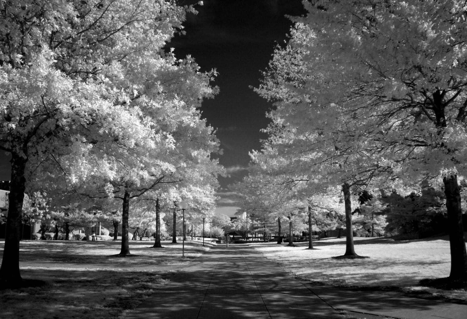 Sony infrared conversion