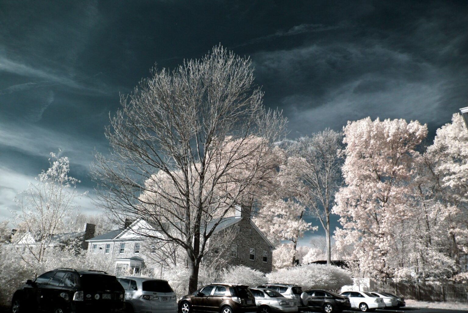 Nikon infrared conversion