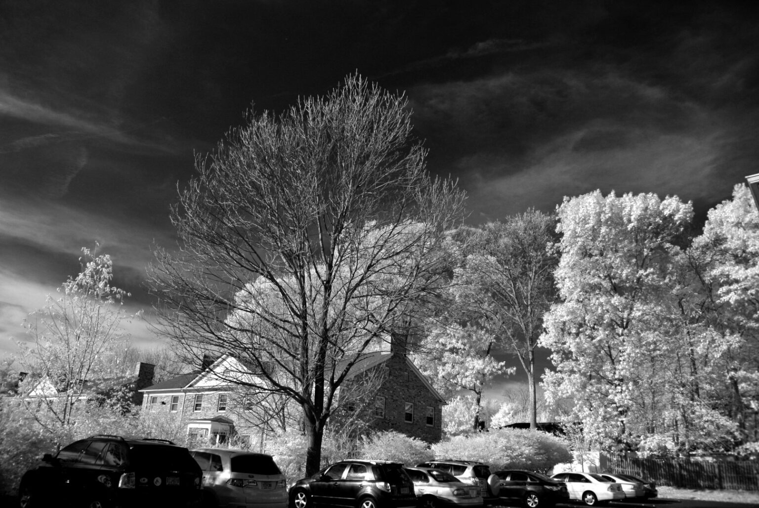 Nikon infrared conversion