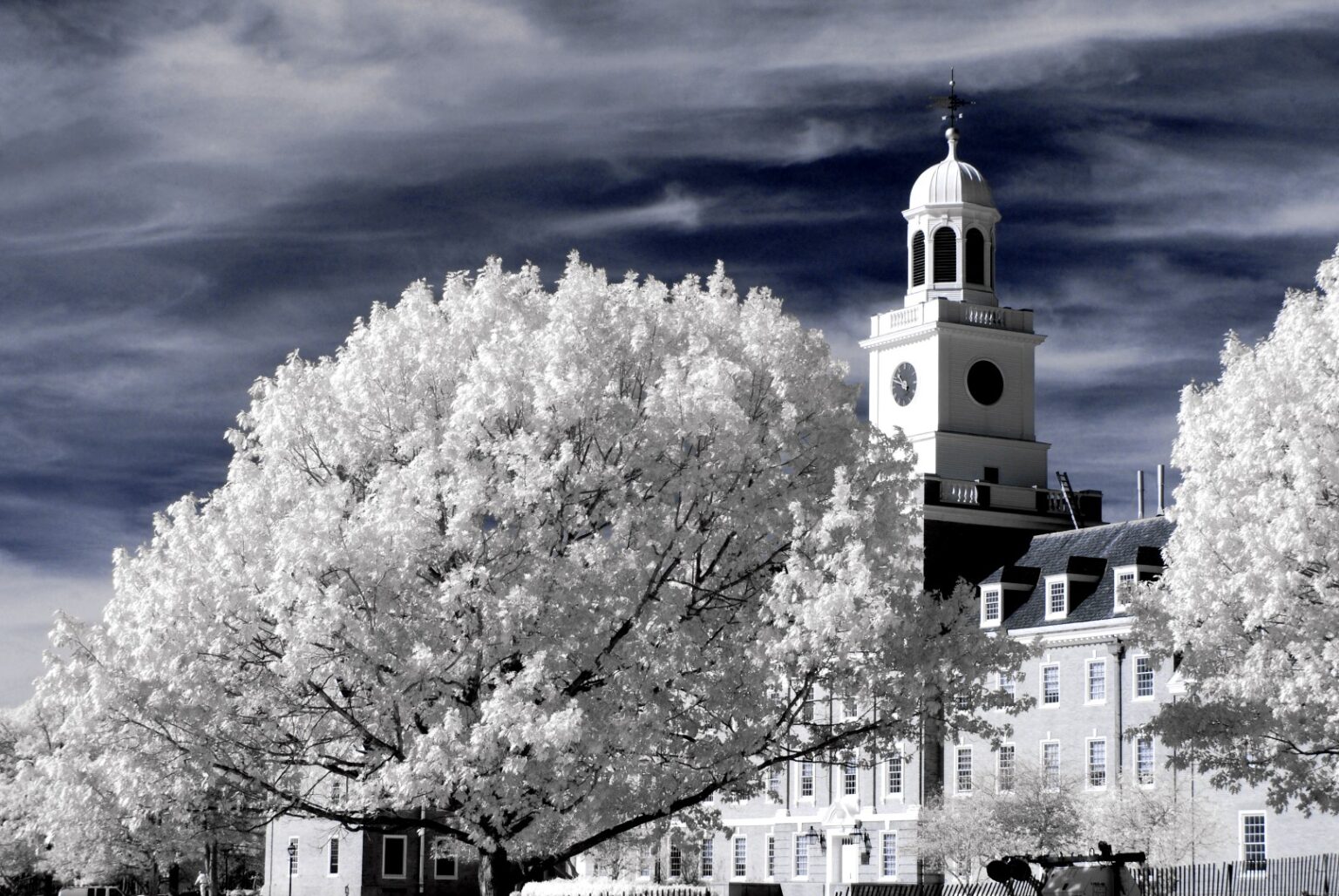 Nikon infrared conversion