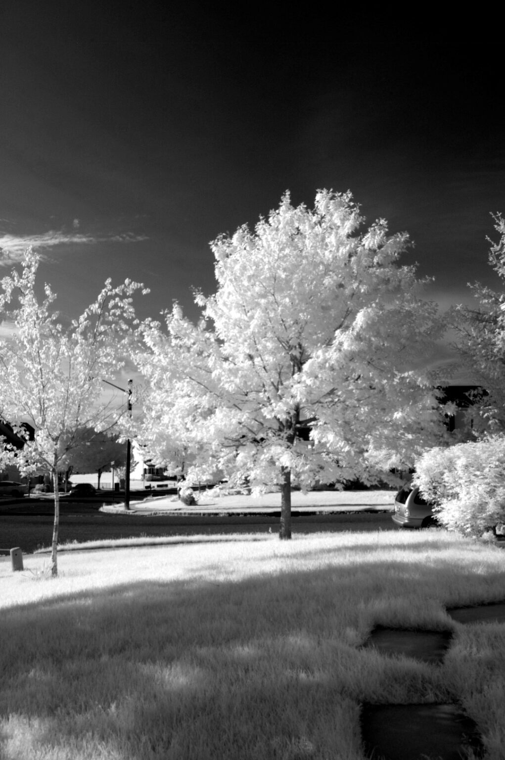 Nikon infrared conversion