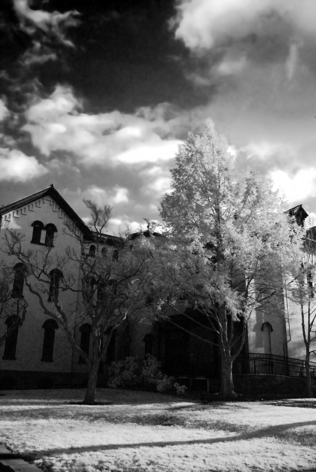 Nikon infrared conversion