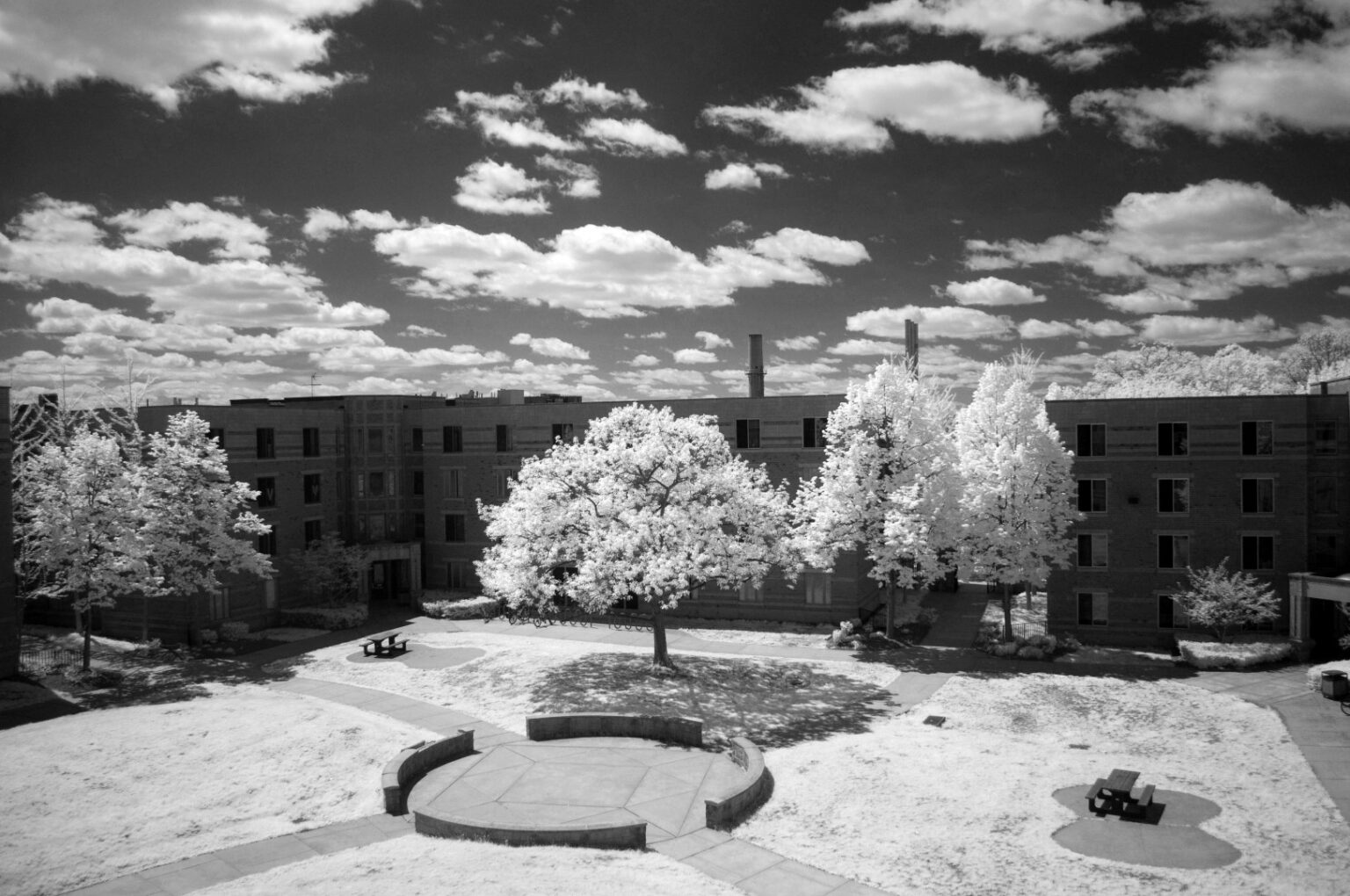 Nikon infrared conversion