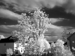 Olympus infrared conversion