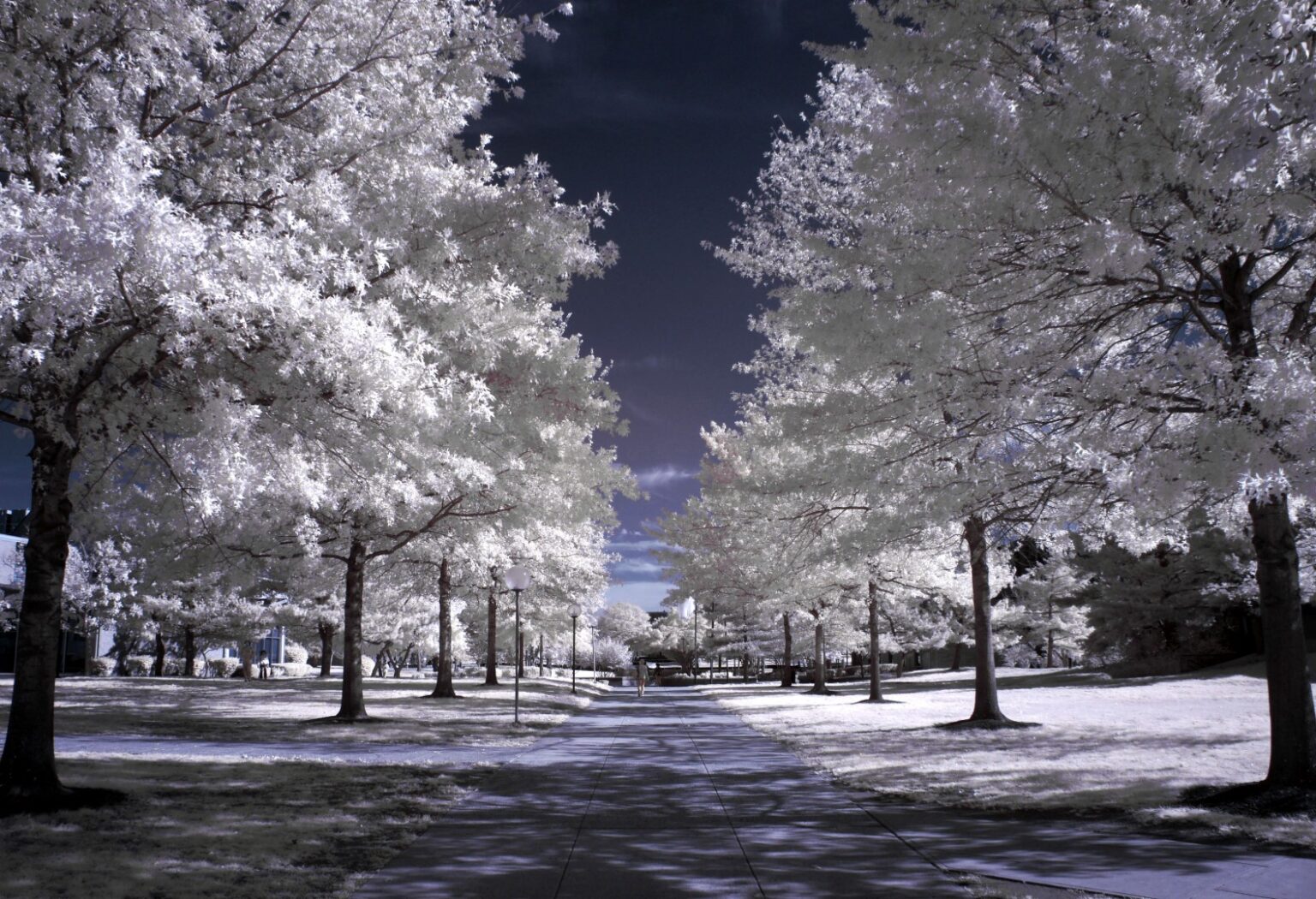 Sony infrared conversion