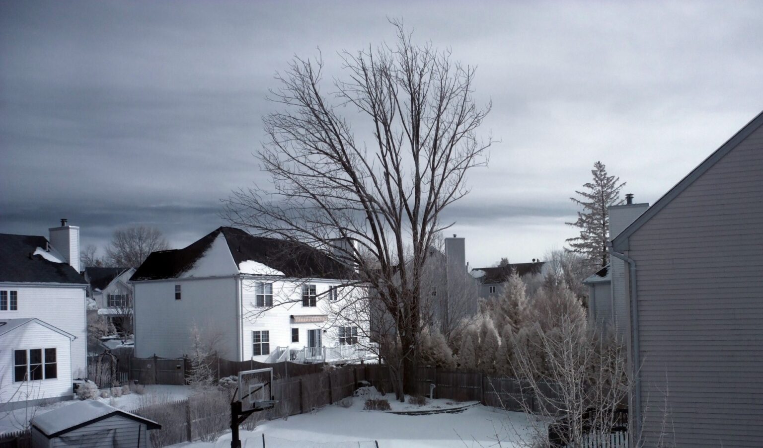 Fujifilm infrared conversion