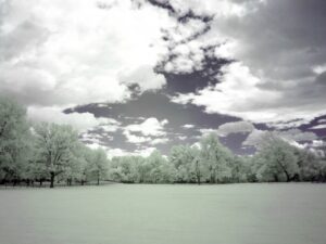 Fujifilm infrared conversion