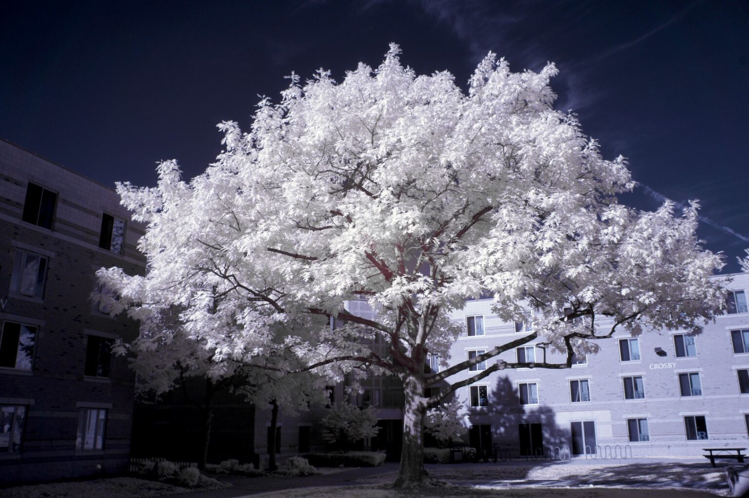 Sony infrared conversion
