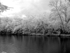 Canon G6 720nm BW