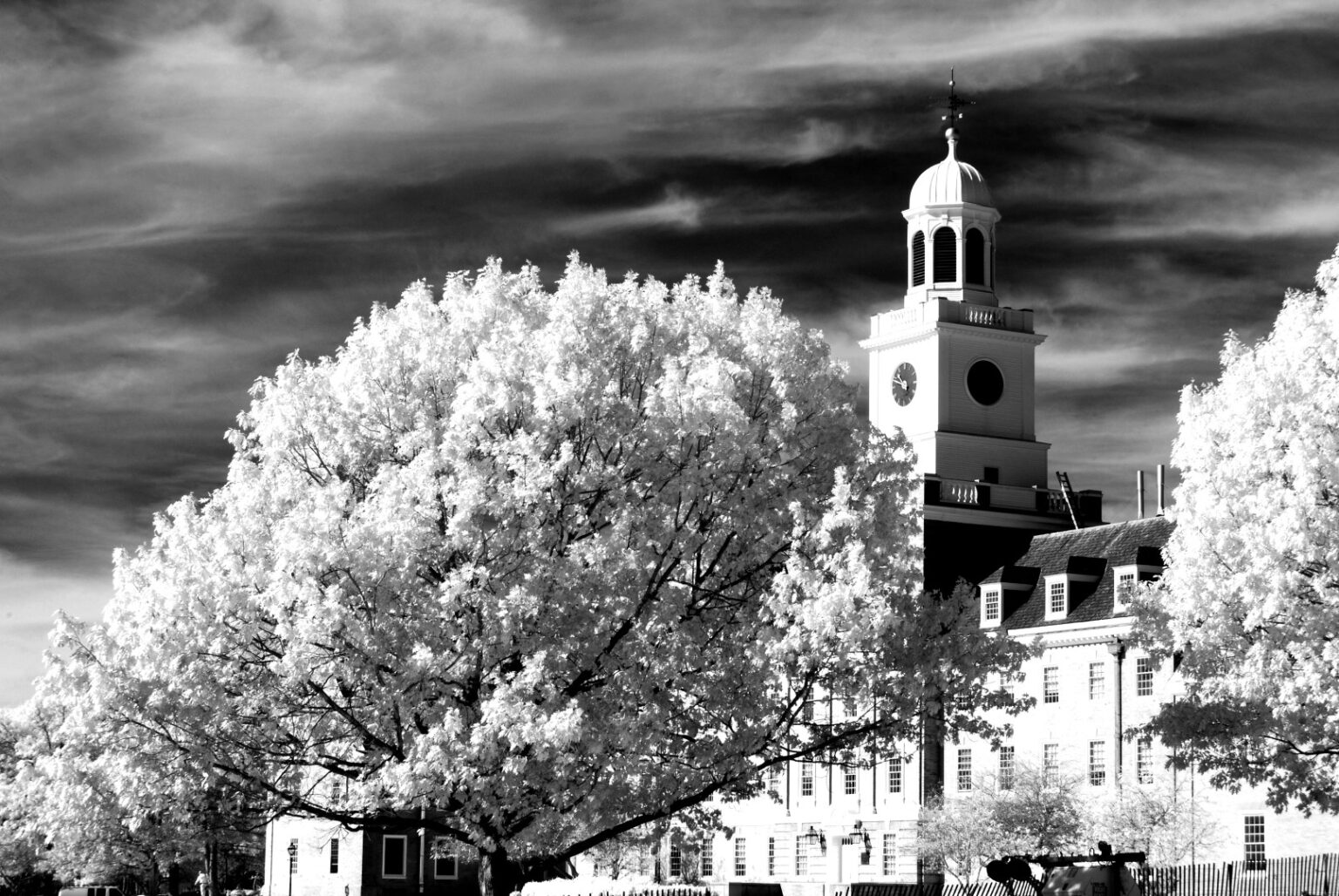 Nikon infrared conversion