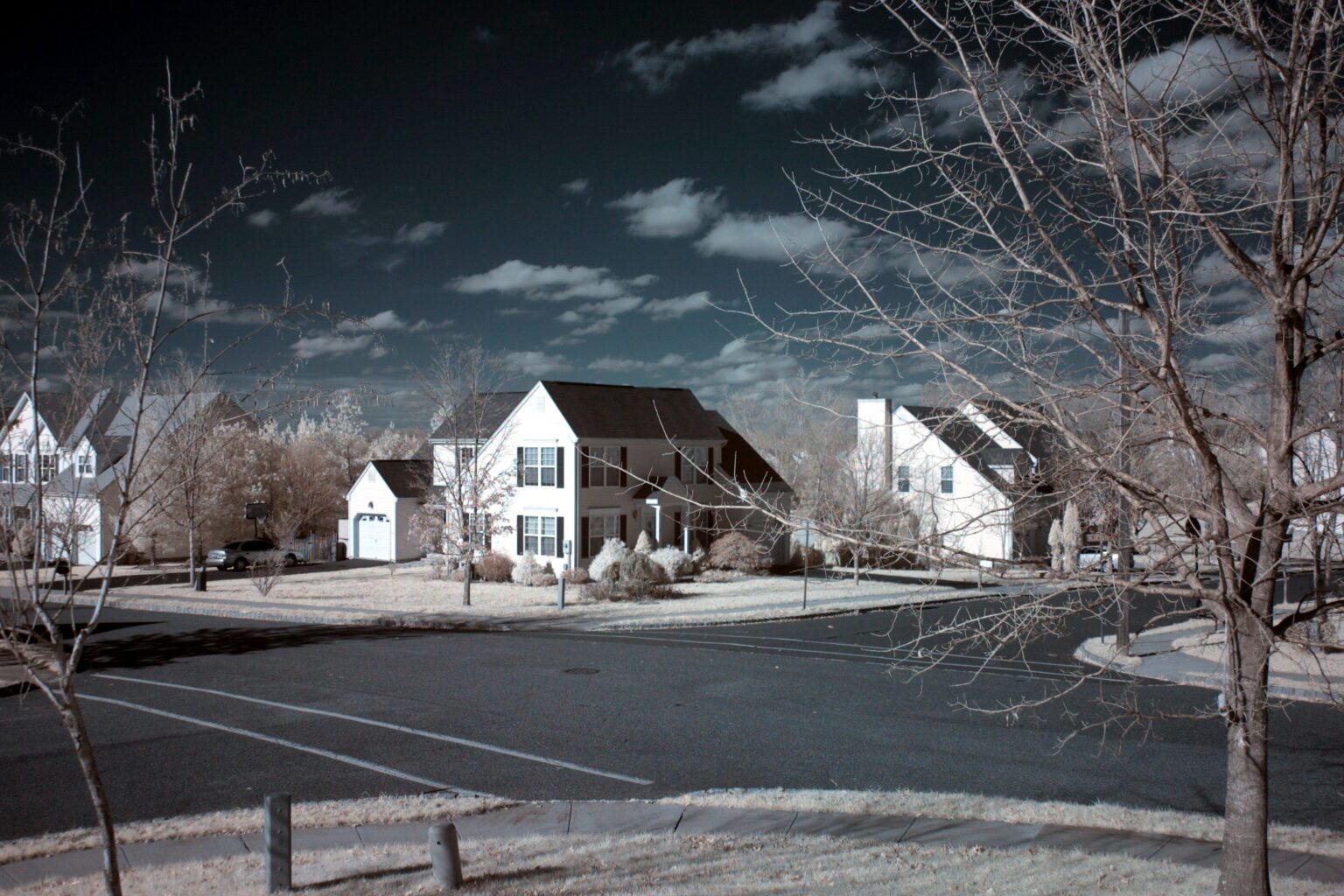 Canon D30 img 001 (720)