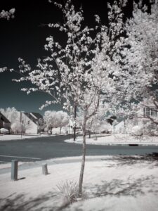 Panasonic Lumix GX1 720nm RAW