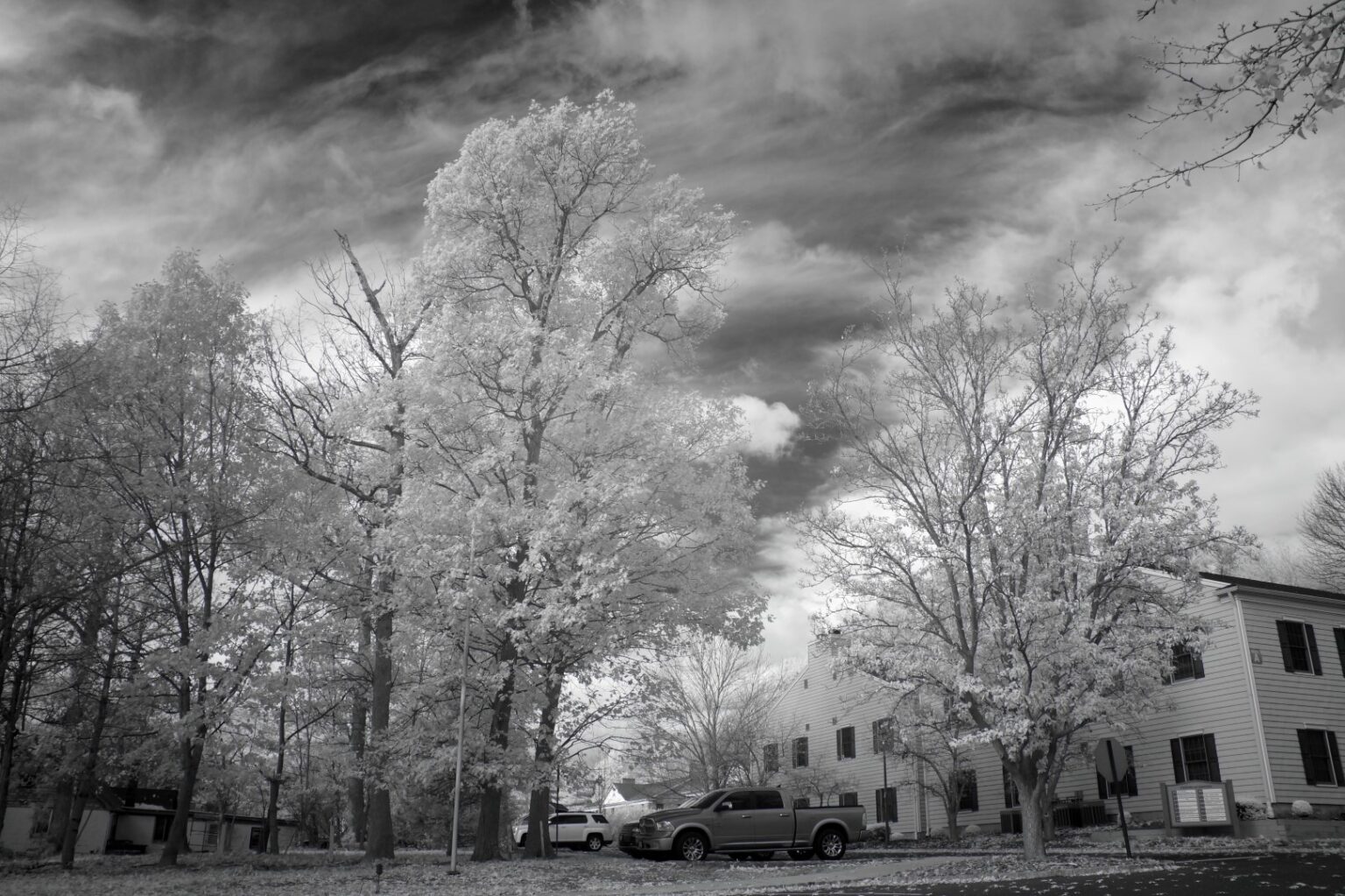 Sony infrared conversion
