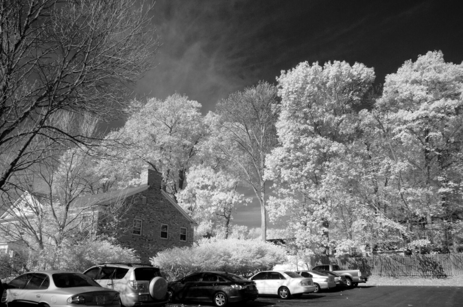 Nikon infrared conversion