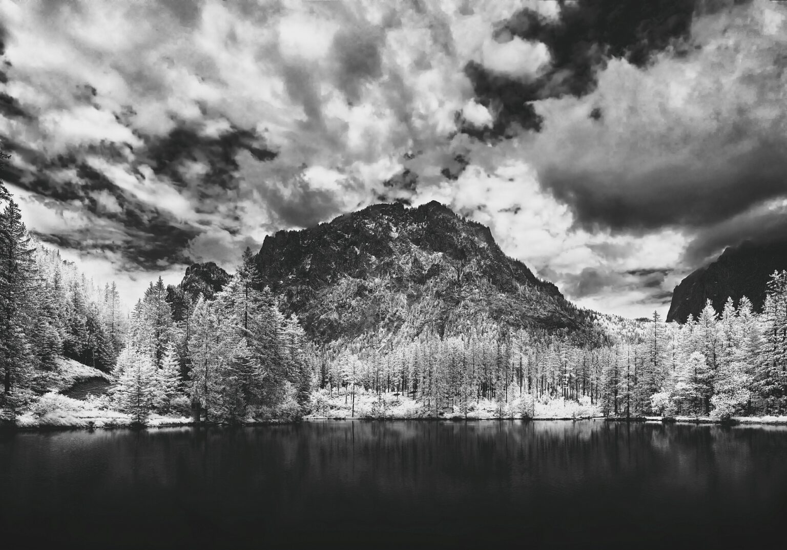 Nikon infrared conversion