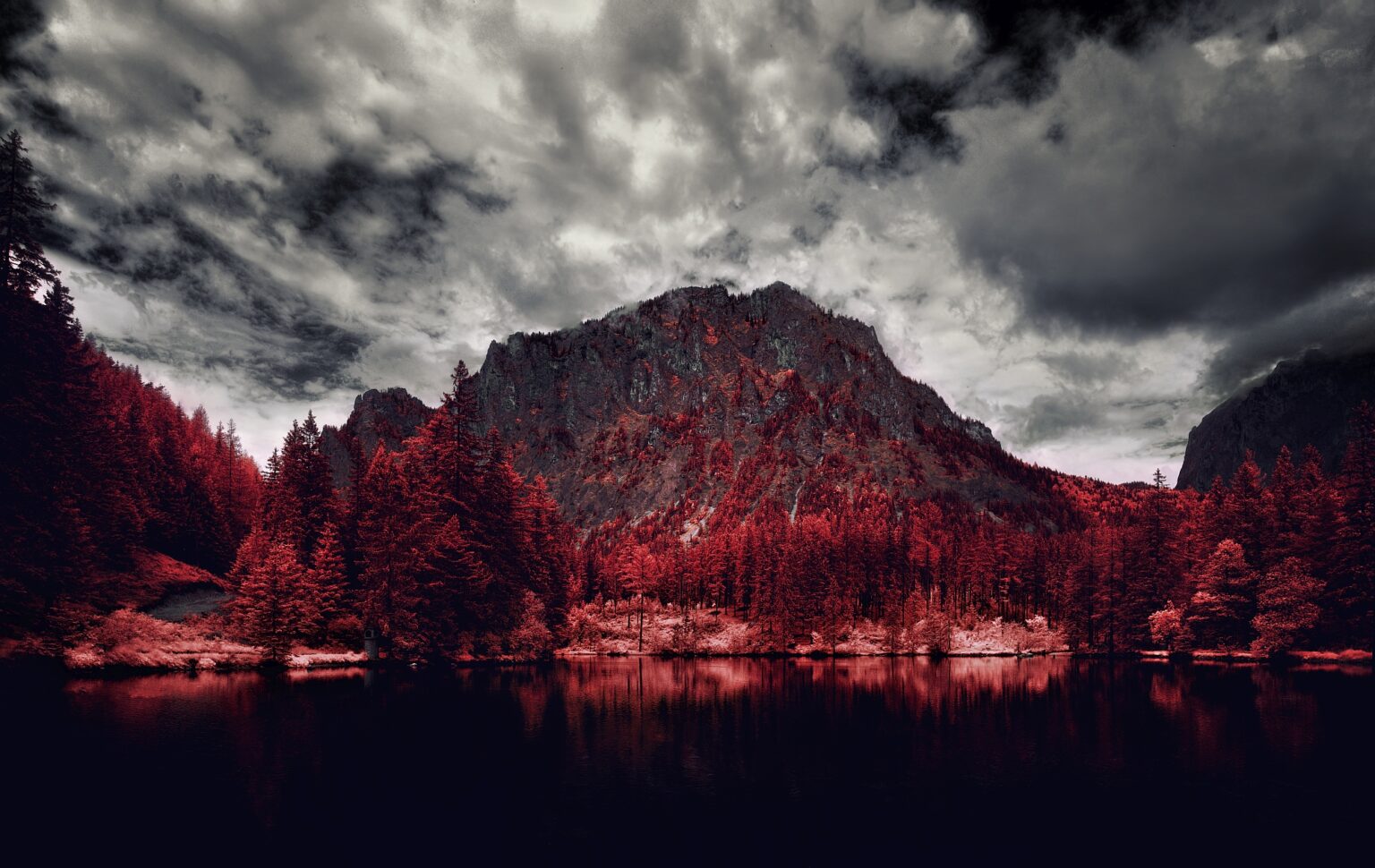 Nikon infrared conversion