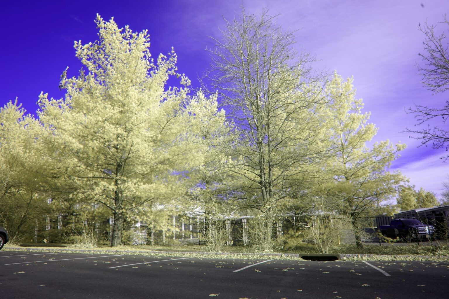 Sony infrared conversion