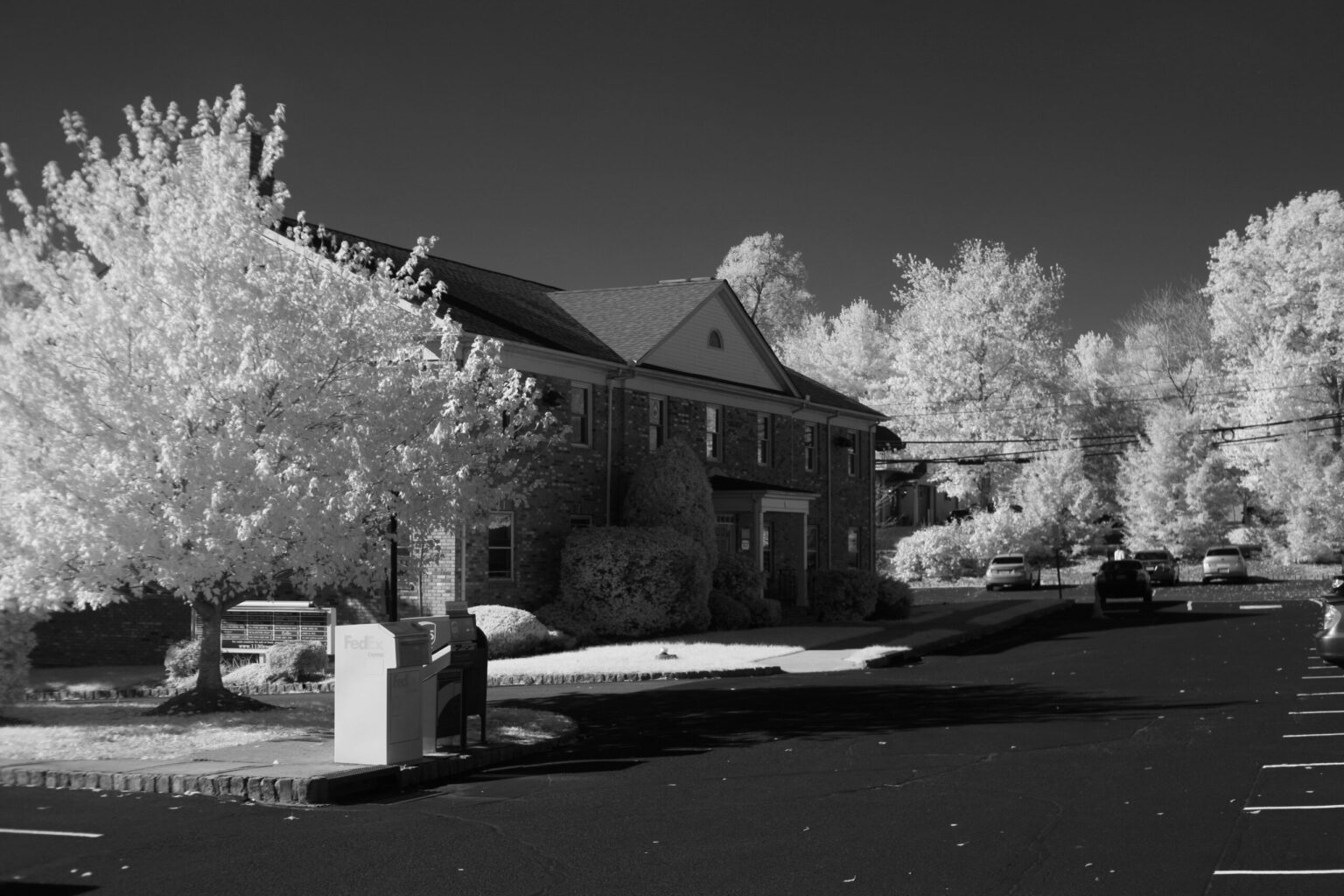 Canon 5D ser 0420101144 BW