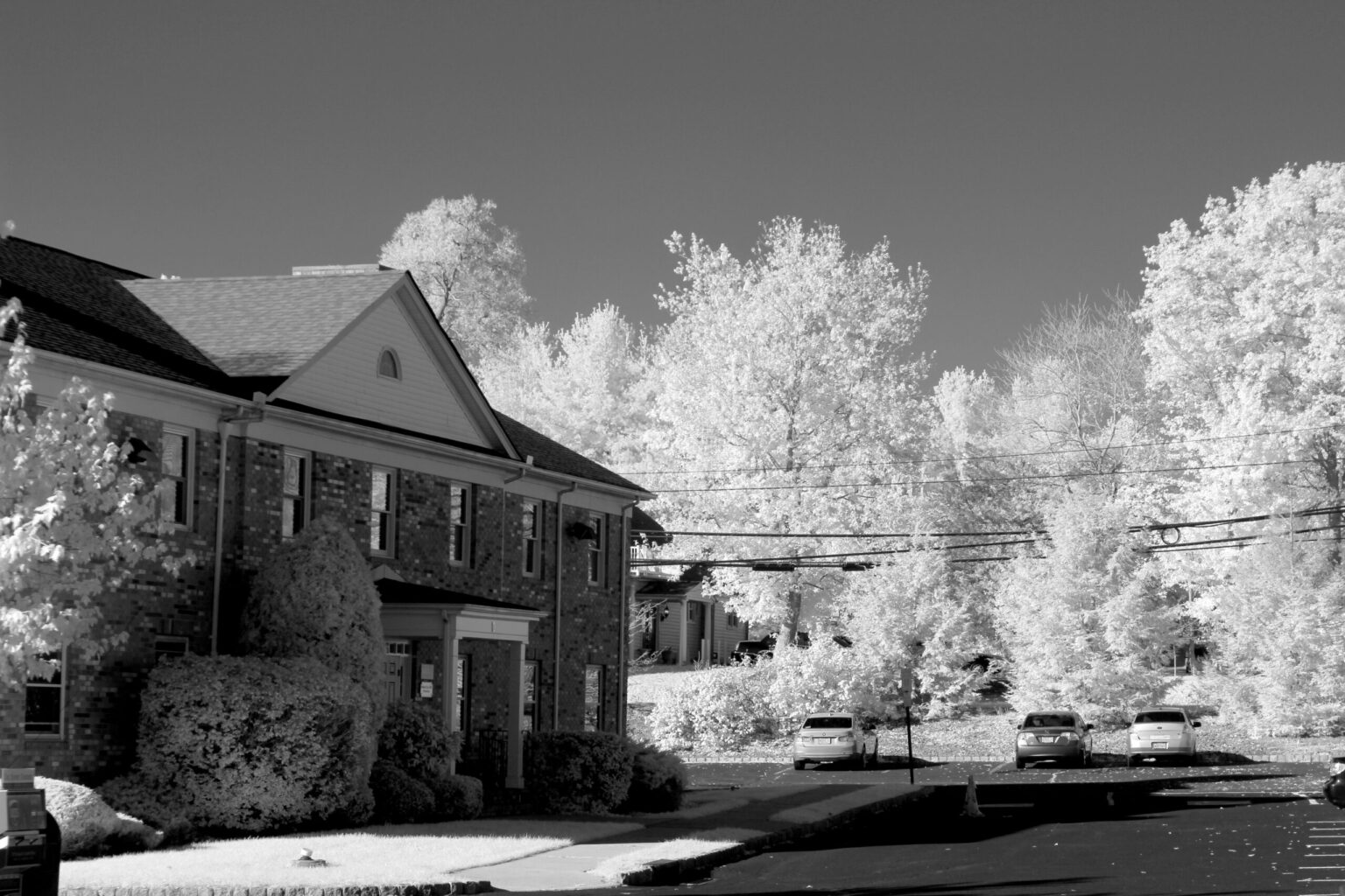 Canon T5 (1200D) img_001bw (720)